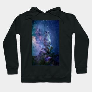 Space Meerkat Hoodie